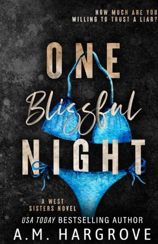 One Blissful Night A Stand Alone, Second Chance, Enemies To Lovers Romance