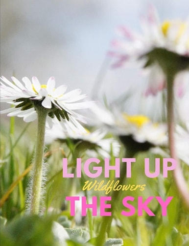 Light Up the Sky Wildflowers Photobook of Wildflowers