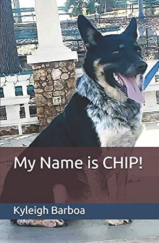My Name Is CHIP!
