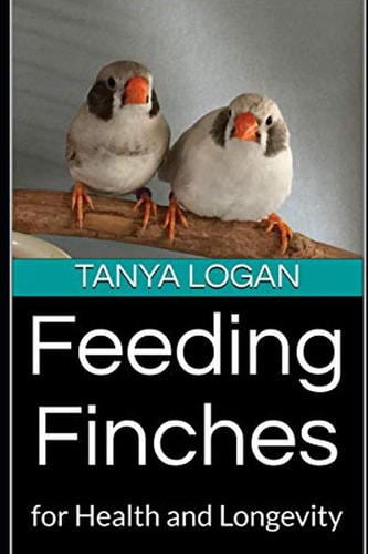 Feeding Finches For Health and Longevity
