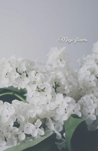 Magic Flowers
