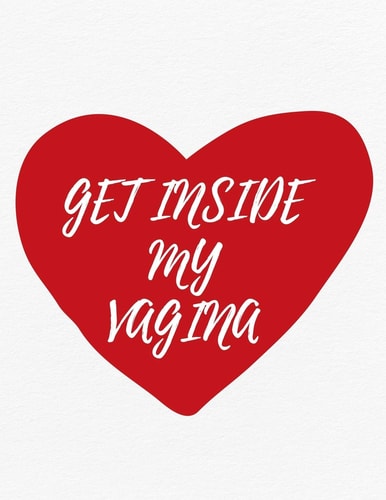 Valentine's Day Notebook Get Inside My Vagina, Funny Valentines Gift Idea for Boyfriend