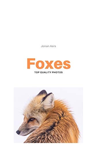 Foxes Top Quality Photos