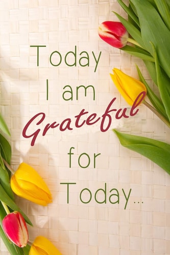 Today I Am Grateful For Today Cultivate An Attitude Of Being Grateful Everyday