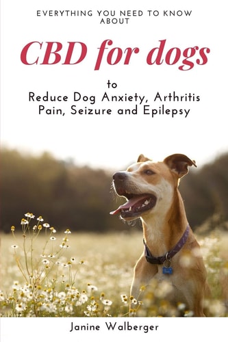 CBD For Dogs To Reduce Dog Anxiety, Arthritis Pain, Seizure and Epilepsy