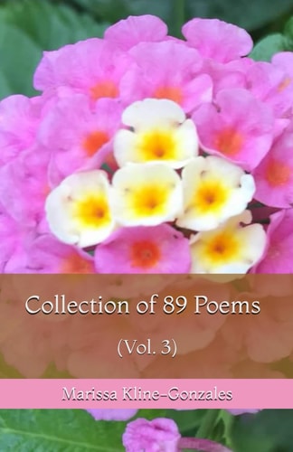 Collection of 89 Poems (Vol. 3)