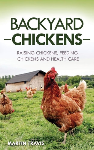 Backyard Chickens Raising Chickens, Feeding Chickens and Health Care