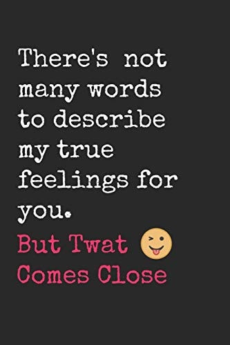There's Not Many Words to Describe How I Feel about You But Twat Comes Close This Book Belongs to the Twat I Love Funny Valentines Gift