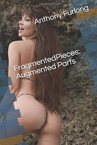 Fragmented Pieces Augmented Parts: Winter Fragments