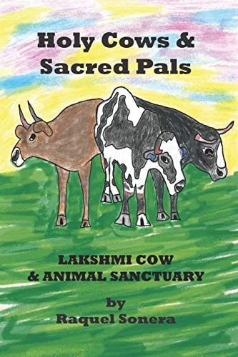 Holy Cows and Sacred Pals Lakshmi Cow and Animal Sanctuary