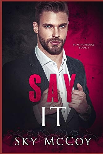 Say It (Fascination Series) Book 1 M/M Romance