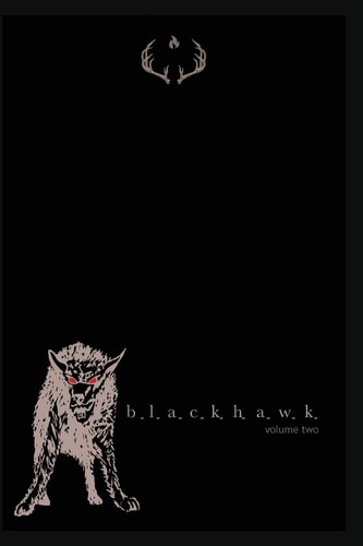 Blackhawk Volume 2