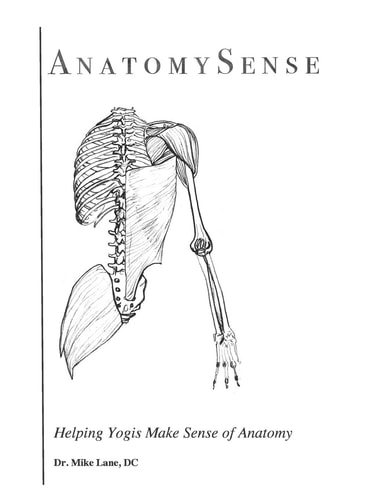 AnatomySense Helping Yogis Make Sense of Anatomy