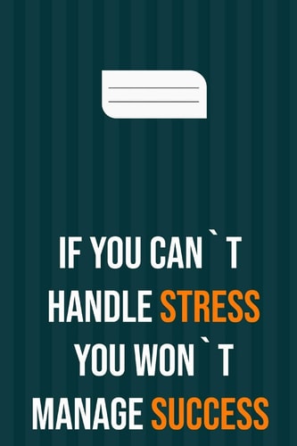 If You Can`t Handle Stress You Won`t Manage Success Motivation Books, Motivational Interviewing, Motivational Gifts for Women, Girl, Kids ( Size 6x9 In, 120 Page )