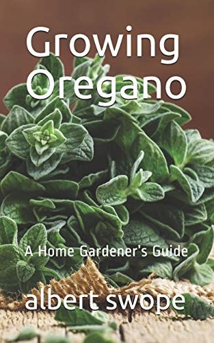Growing Oregano A Home Gardener's Guide