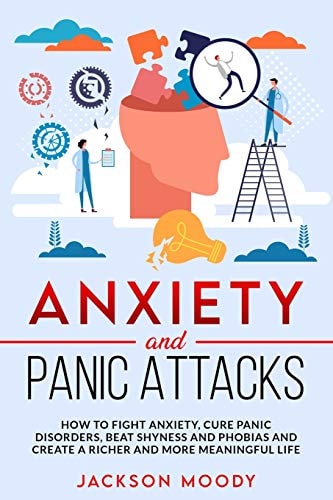 Anxiety And Panic Attacks How to Fight Anxiety, Cure Panic Disorders, Beat Shyness and Phobias and Create a Richer and More Meaningful Life
