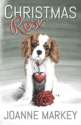 Christmas Rose