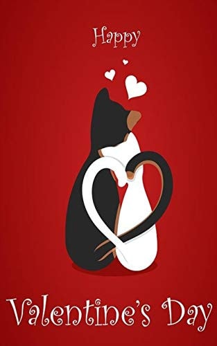 Happy Valentine's Day Cat Lovers
