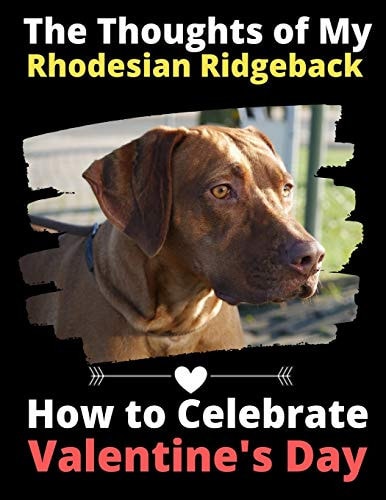 The Thoughts of My Rhodesian Ridgeback How to Celebrate Valentine's Day