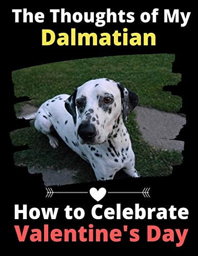 The Thoughts of My Dalmatian How to Celebrate Valentine's Day