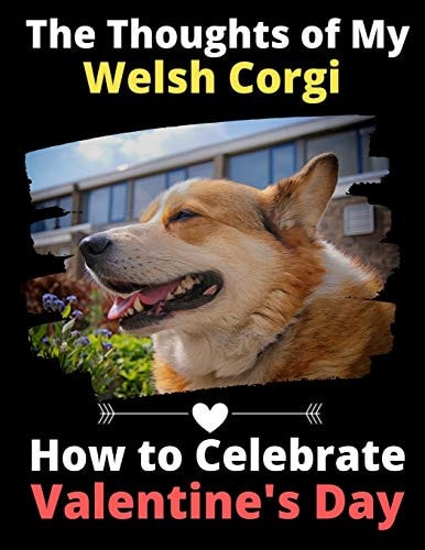 The Thoughts of My Welsh Corgi How to Celebrate Valentine's Day