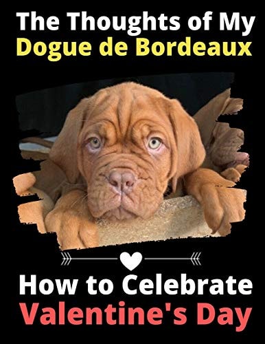 The Thoughts of My Dogue de Bordeaux How to Celebrate Valentine's Day