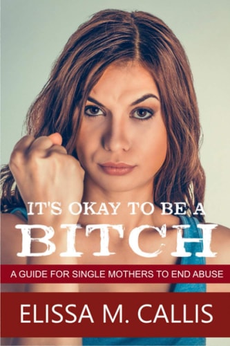 It's Ok to Be a Bitch A Guide for Single Mothers to End Abuse