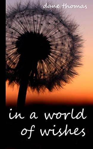In a World of Wishes