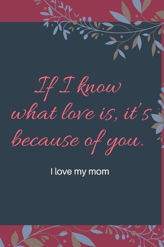If I Know What Love Is, It's Because of You I Love My Mom