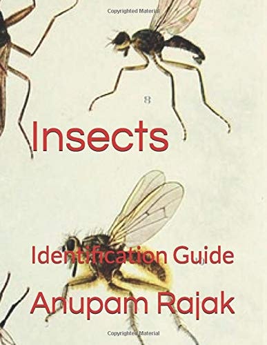 Insects: Identification Guide