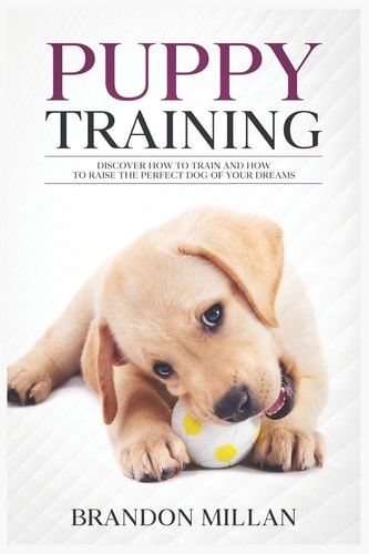 Puppy Training Discover How to Train and How to Raise the Perfect Dog of Your Dreams