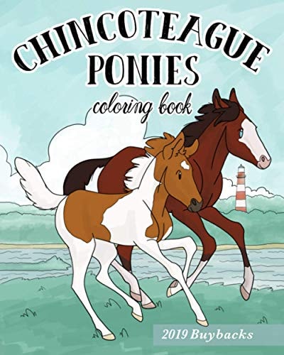 Chincoteague Ponies Coloring Book 2019 Buybacks
