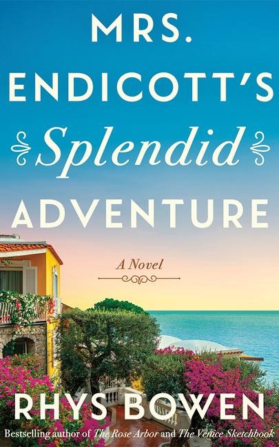 Mrs. Endicotts Splendid Adventure: A Novel