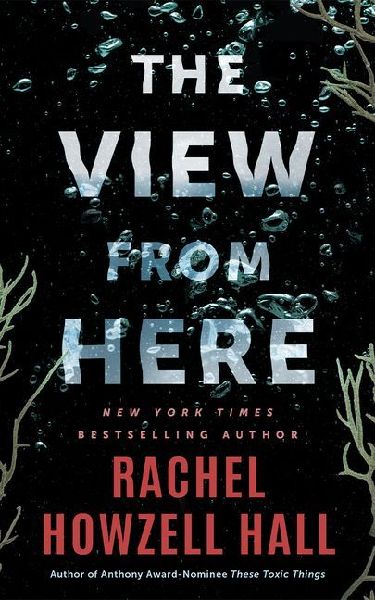 The View from Here: A Thriller
