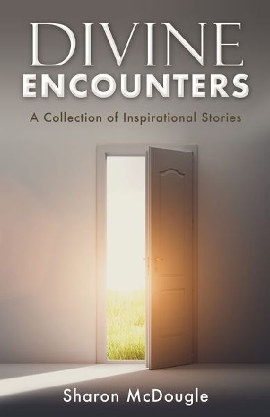 Divine Encounters: A Collection of Inspirational Stories