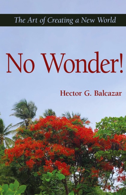 No Wonder!: The Art of Creating a New World