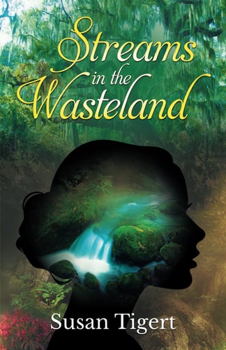 Streams in the Wasteland