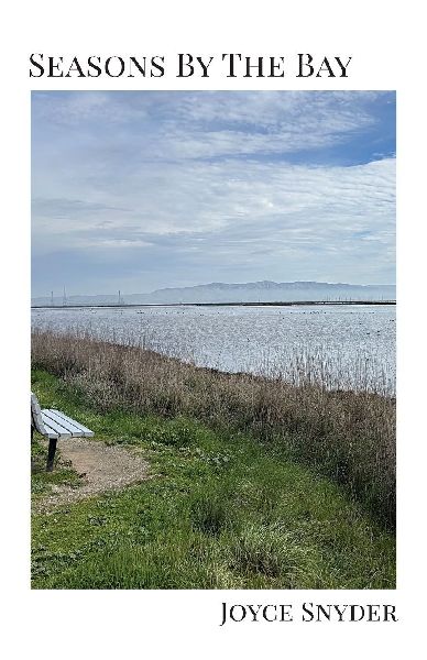 Seasons by the Bay