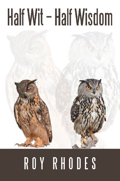 Half Wit - Half Wisdom