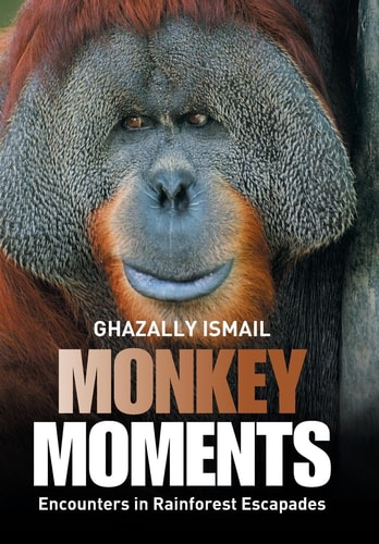 Monkey Moments Encounters in Rainforest Escapades