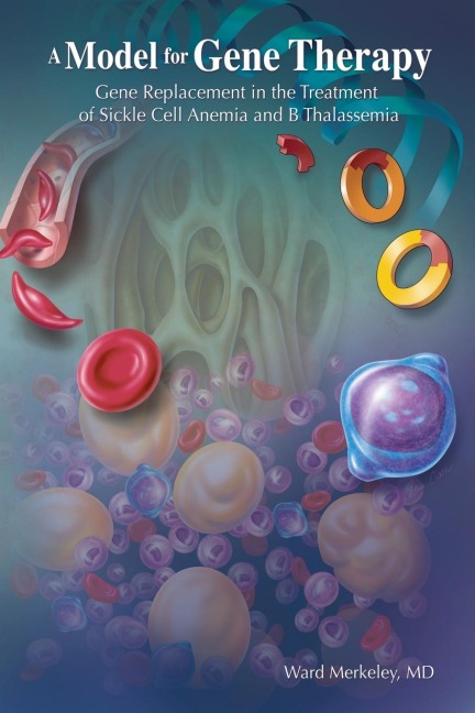 A Model for Gene Therapy: Gene Replacement in the Treatment of Sickle Cell Anemia and  Thalassemia