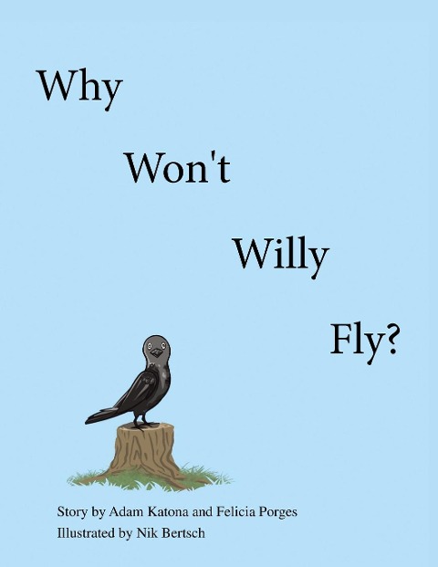 Why Wont Willy Fly?