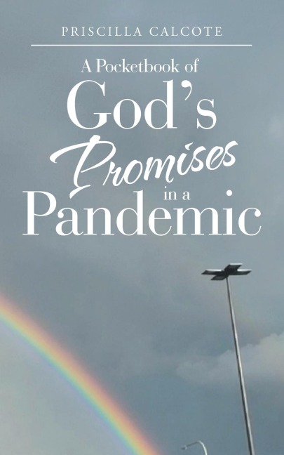 A Pocketbook of Gods Promises in a Pandemic