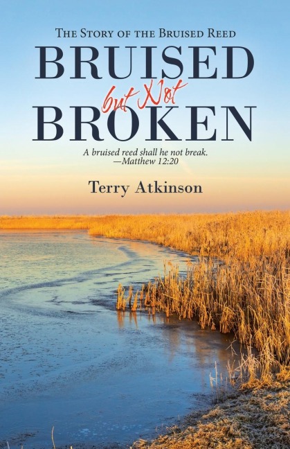 Bruised but Not Broken: The Story     of the    Bruised Reed