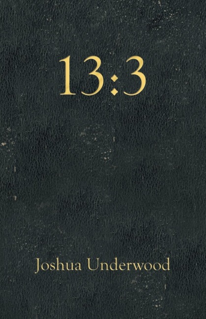 13: 3
