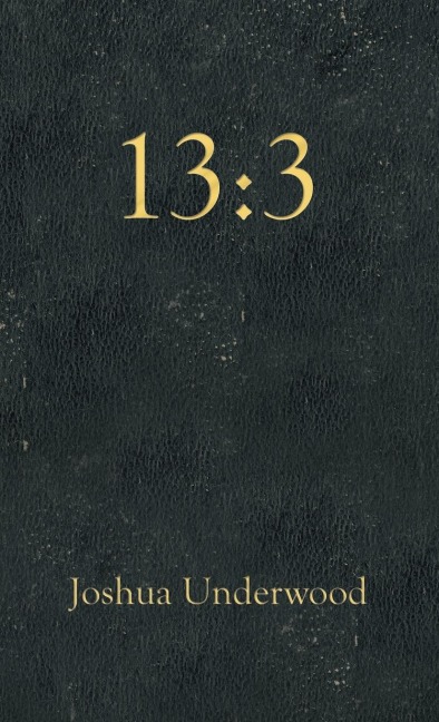 13: 3