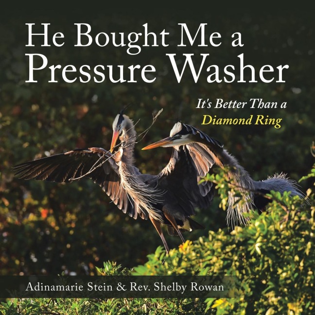 He Bought Me a Pressure Washer: Its Better Than a Diamond Ring