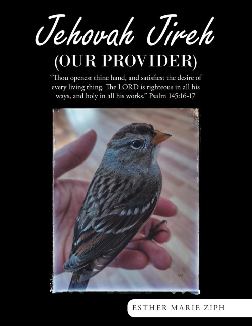 Jehovah Jireh  (Our Provider)