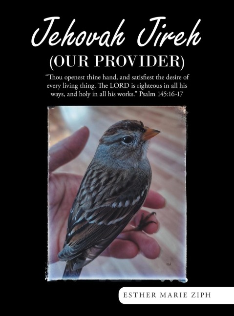 Jehovah Jireh  (Our Provider)