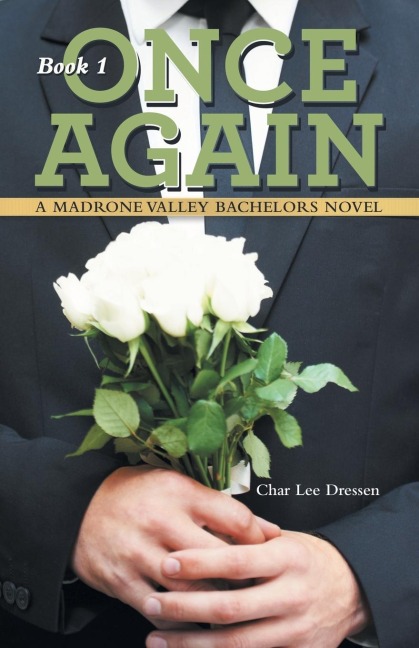 Once Again: A Madrone Valley Bachelors Novel